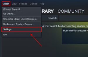 Steam Settings