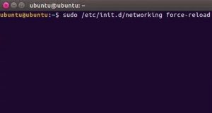 Clear DNS Cache on Ubuntu - sudo /etc/init.d/networking force-reload