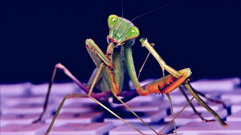 Malware Roaming Mantis